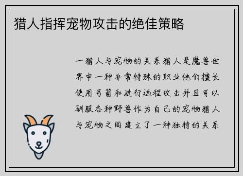 猎人指挥宠物攻击的绝佳策略